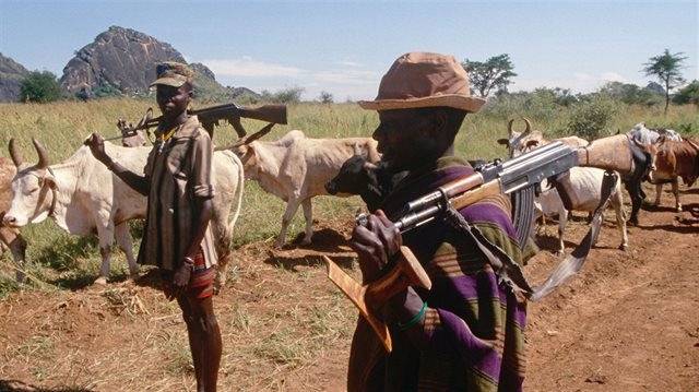 Karamoja: 85 Cattle Rustlers Killed, 600 Arrested, 135 Guns Recovered