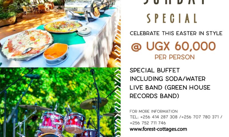 No Regrets! Pass By On Easter Sunday & Enjoy A Mega Buffet, Live Band-Forest Cottages