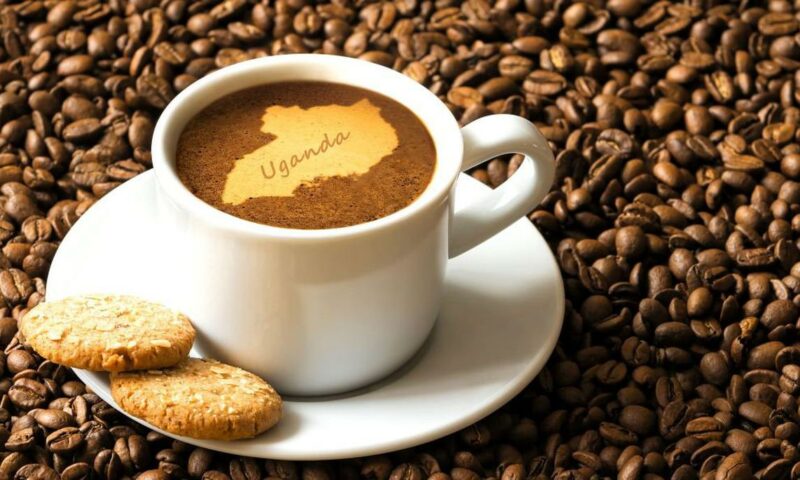 Ugandans Fuming As Gov’t Hands Coffee Business To Single Company