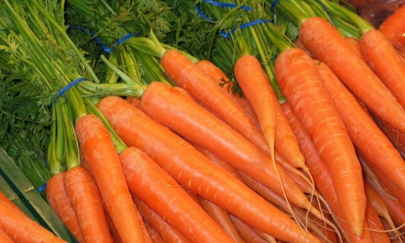 Health Tips: Did You Know Carrots Are Dangerous To Your Skin, Here Are 5 Terrible Effects You Didn’t Know