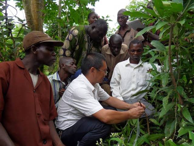 Uganda Contributes Nearly $10m To S.South Crop & Animal Production Project
