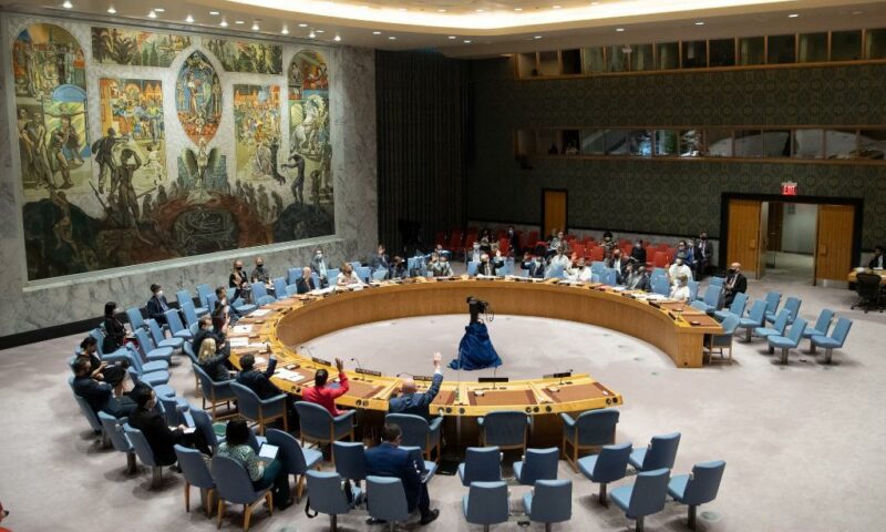 UN Security Council Renews Sanctions On DR Congo Amidst Insecurity Crisis