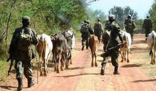 We Are Talking To South Sudan Over Lamwo Killings – Gov’t