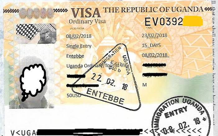 Government Engaging Foreign Missions On Visas – Minister Mulimba