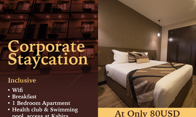 You Nolonger Have To Spend Much On Accommodation, Come We Sort You At Just $80-Speke Apartments Kitante