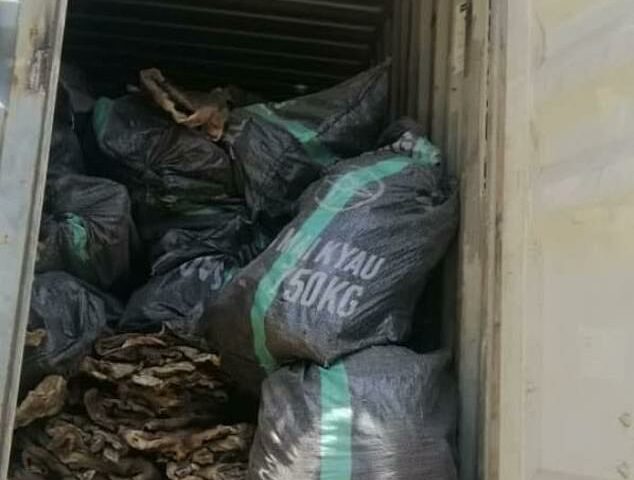 Shocking! Police At Airport Intercepts 16 Sacks Full Of P3nises