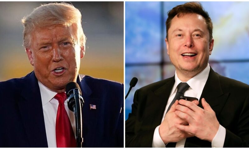 Motormouthed Donald Trump Jubilates As Elon Musk Lifts His Twitter Ban