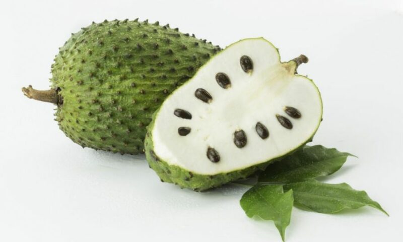 Health Alert!  Here Are Top Benefits Of Soursop You Didn’t Know