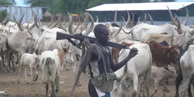 S.Sudan: Armed Bor Cattle Herders Kill Four, Injure Seven People In Lainya