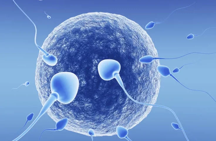 Sperm Donor Who Fathered 550 Children Ordered To Stop