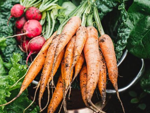 Farmer’s Guide: Here Are 5 Fastest Growing Veggies You Can Harvest Just Weeks After Planting
