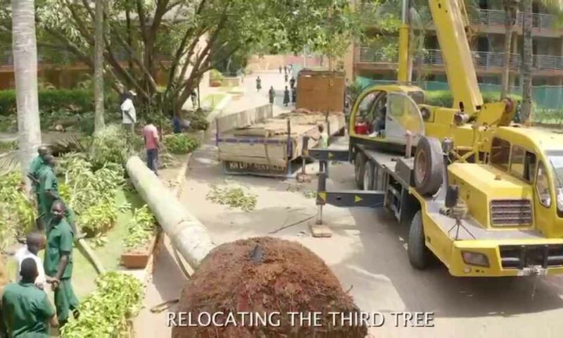 None Aligned Movement Summit In High Gear As Tycoon Sudhir Relocates 20yr Old Trees To Kickstart Construction Of World Class Convention Center