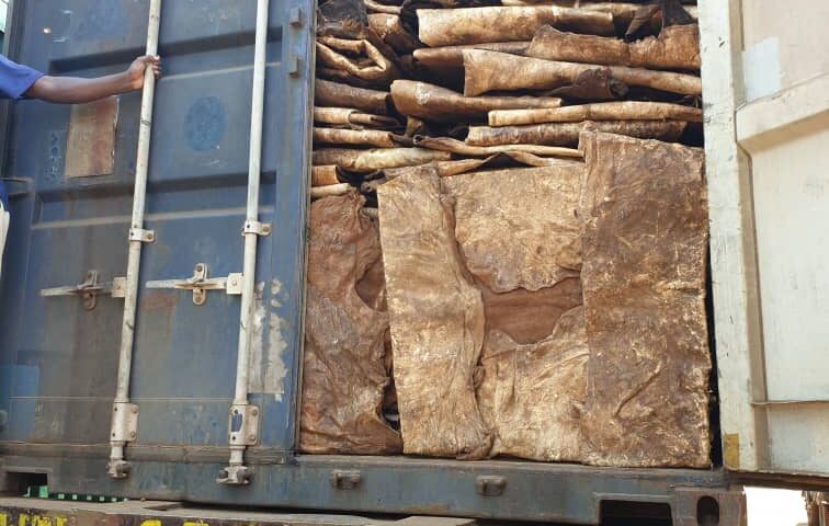 Busia: Smuggler Netted With Over 20 Tons Of Unprocessed Cow Hides & Skins