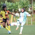 Crested Cranes Go Down Fighting Against Algeria