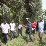 One Billion Trees Campaign: GRO Foundation Embarks On Restoration Of Mabira Forest Amidst Massive Deforestation