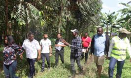 One Billion Trees Campaign: GRO Foundation Embarks On Restoration Of Mabira Forest Amidst Massive Deforestation
