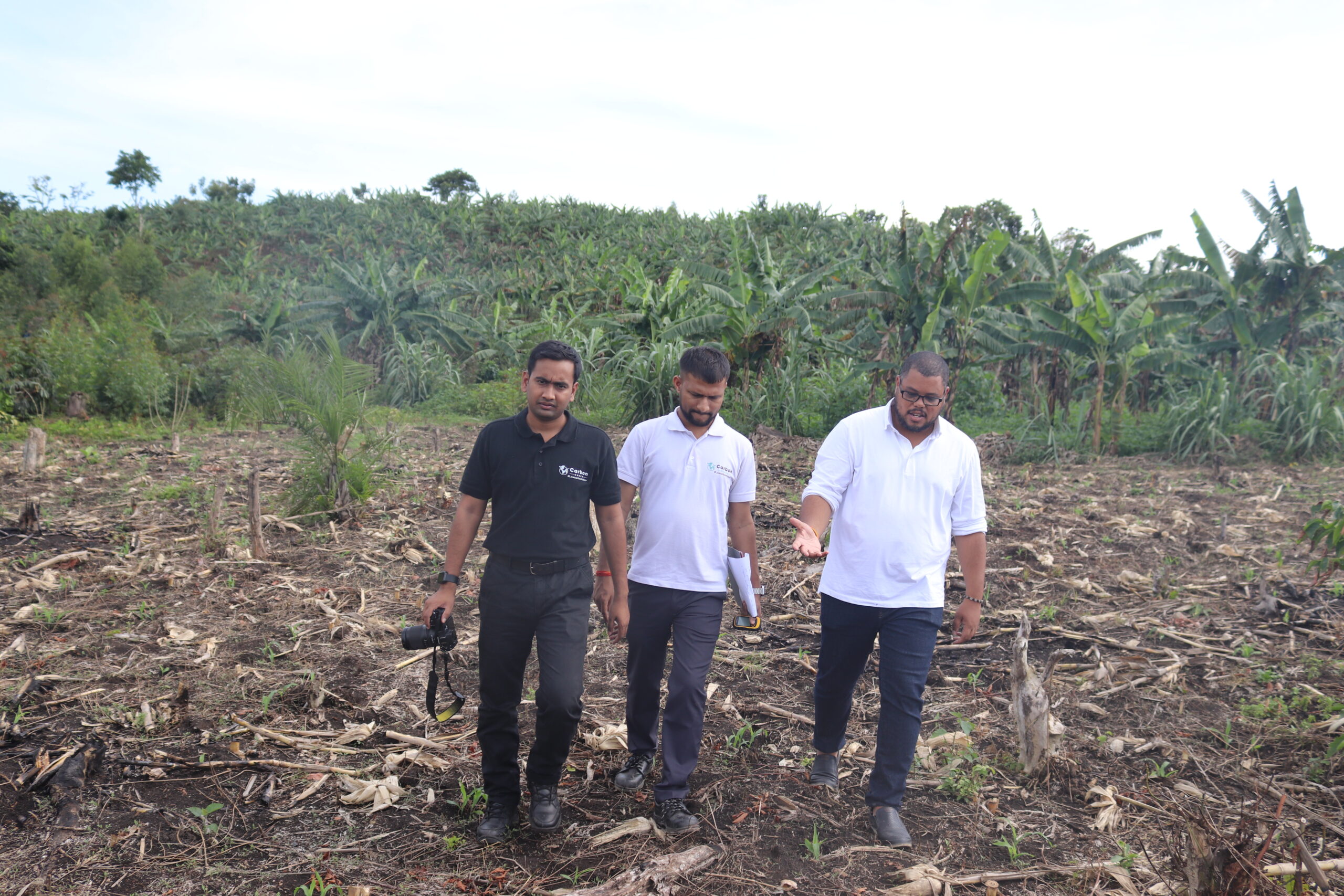 One Billion Trees Campaign: GRO Foundation Embarks On Restoration Of Mabira Forest Amidst Massive Deforestation