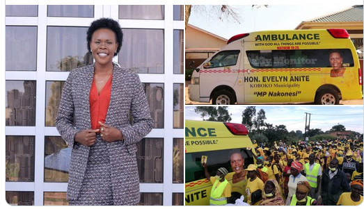 Netizens Fume At Minister Anite For Withdrawing Ambulance After Electoral Defeat