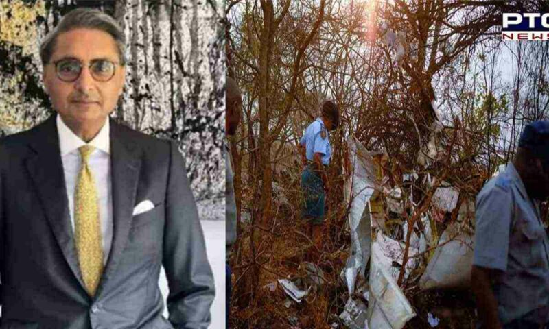 Indian Billionaire Harpal Randhawa, Son Killed In Plane Crash In Zimbabwe