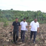 Gro Foundation, IRCU To Officially Launch 250m Tree Planting Project on December, 18