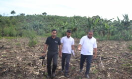 Gro Foundation, IRCU To Officially Launch 250m Tree Planting Project on December, 18