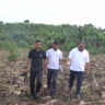 Gro Foundation, IRCU To Officially Launch 250m Tree Planting Project on December, 18