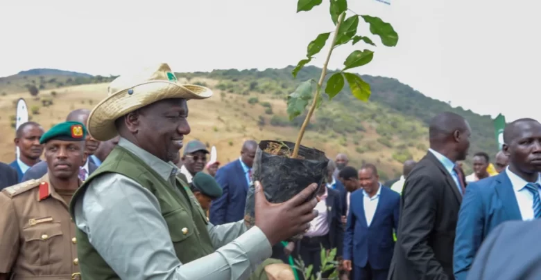 Kenya Declares Surprise Public Holiday To Plant 15 Billion Trees