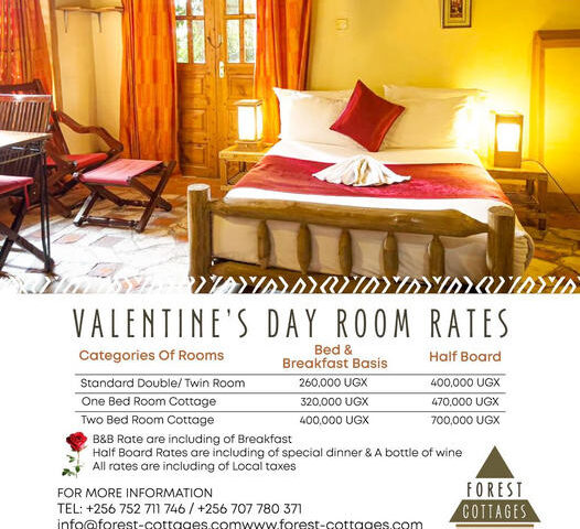Love Extravaganza! Experience Tranquility In Nature’s Embrace At Forest Cottages This Valentine’s Day – Book Now For Special Discounts